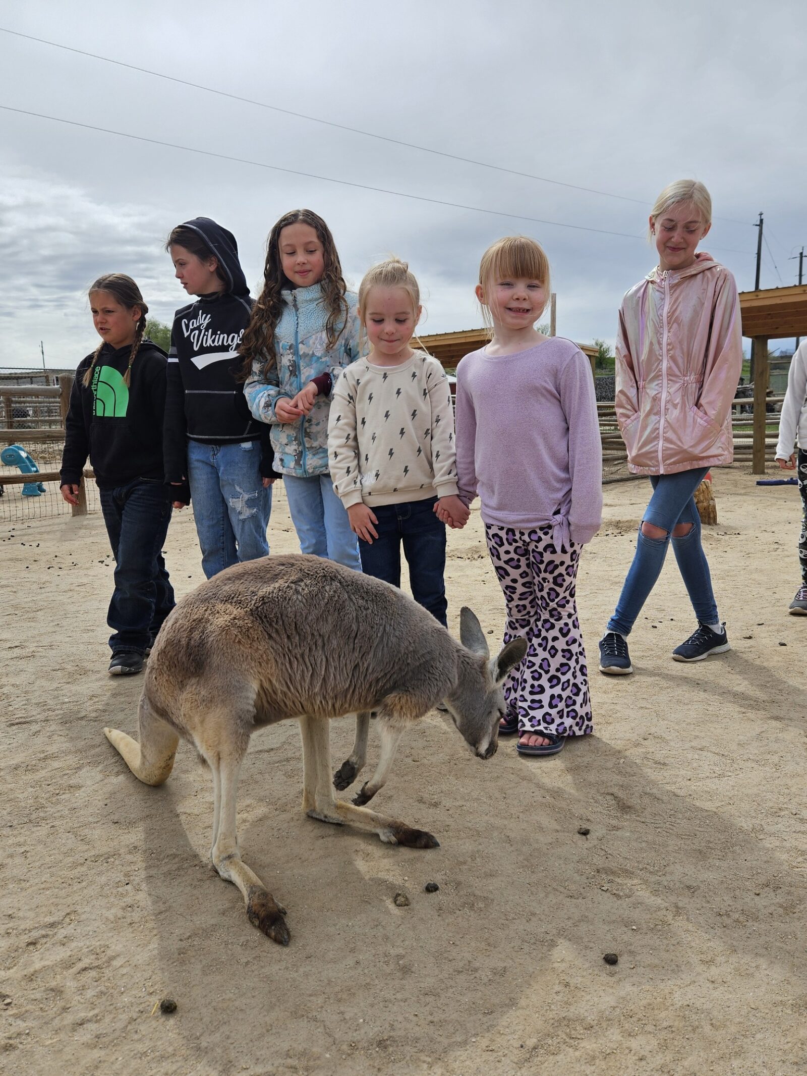 Farm fun in Eastern Oregon!